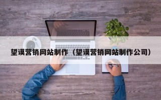 儋州望谟营销网站制作（望谟营销网站制作公司）