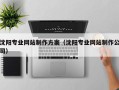 儋州沈阳专业网站制作方案（沈阳专业网站制作公司）