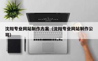 儋州沈阳专业网站制作方案（沈阳专业网站制作公司）